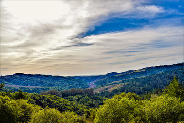 Naklejka premium Mt Tamp