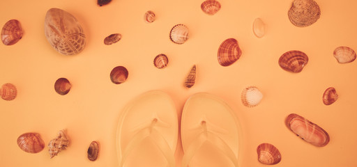 Summer flip flops and sea shells