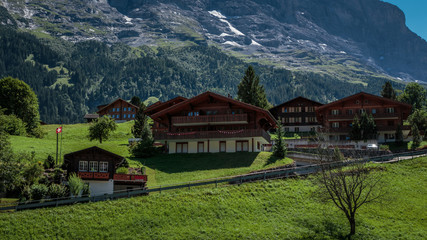 Fototapeta na wymiar Traditional wooden chalets in picturesque Swiss town Grindelwald in summer in front of the north face of the Eiger mountain surrounded by vibrant green pastures
