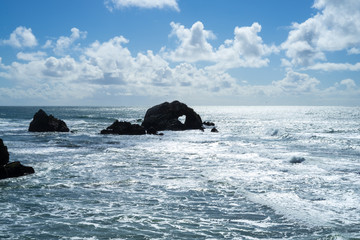 Fototapeta premium The view in Lands End, San Francisco. Stone, landscape.