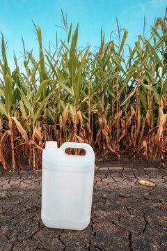 White plastic pesticide chemical jug in cornfield