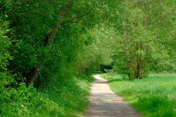 Bremen-Schönebeck im Mai