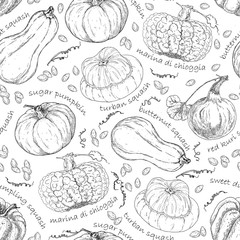 Pattern with different pumpkins. Hand drawn graphic. Vintage style.