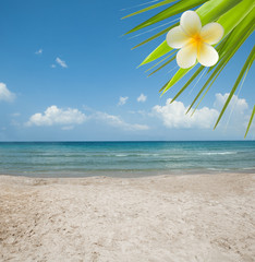 Wonderful tropical beach, blue sea, sun, sand, sky and green leaves