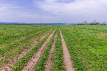 Fototapeta na wymiar Runway of a field airport on Naklo hill near Milotice, moravia in Czech Republic