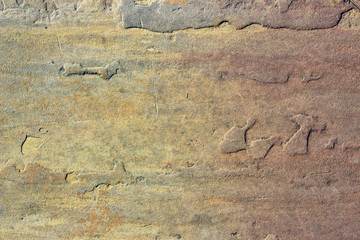 Stone background texture background natural stone close-up