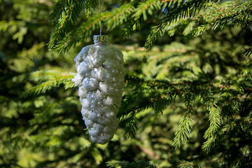 Christmas decoration with pine and blurred branch of Christmas tree