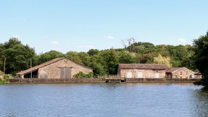 Etang de Bois Pouvreau Menigoute 2018