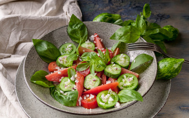 Vegetable salad of red and green tomatoes with basil leaves.