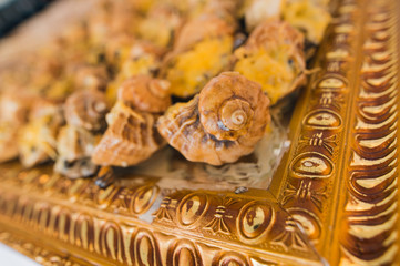 Sea food, seafood, delicacies, rapani, mussels, black sea, the taste of the sea,  tasting