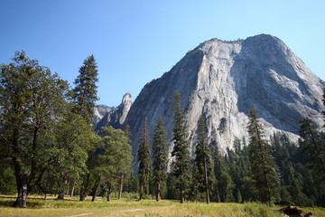 Fototapeta na wymiar parc national de Yosemite en Californie