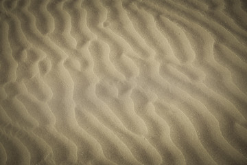 Fototapeta na wymiar Sand on the beach Background