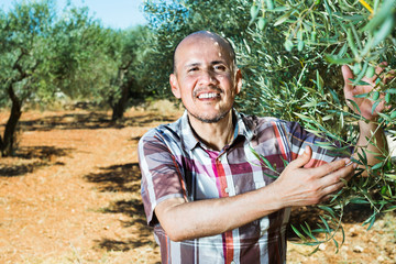 Naklejka premium Mature man gardener standing among olive trees