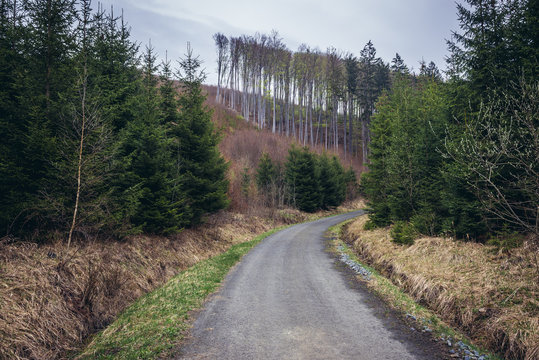 Fototapeta Forest road in Moravian Wallachia Beskids mountains in Czech Republic, near Vsetin town