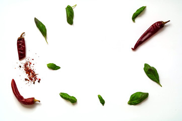 Fototapeta premium spices and spinach isolated on white background. The concept of vegetarian food, healthy diet, choice of clean food, copy space, closeup