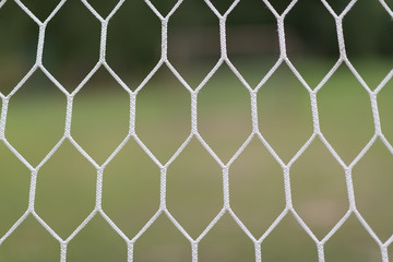 Fototapeta premium soccer net on green grass