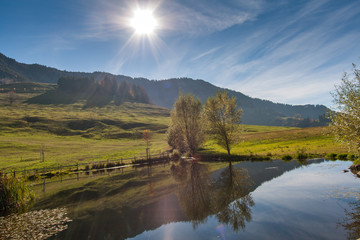 Landscape with Green meadows above Lake Lucerne, near mount Rigi, Alps, Switzerland