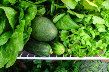 Greens, fruits and vegetables in fridge. Vegan, raw, healthy lifestyle concept