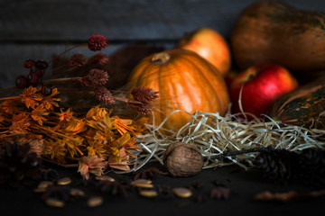 Thanksgiving pumpkins and falling leaves on rustic wooden plank in barn. A rustic autumn still life with dark wood background. Vegetable and fruits on straw in front of old weathered wooden boards.