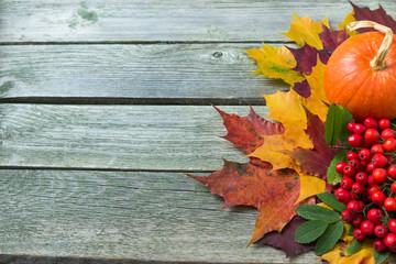 Naklejka na ściany i meble Autumn background with pumpkins , leaves and red mountain ash.