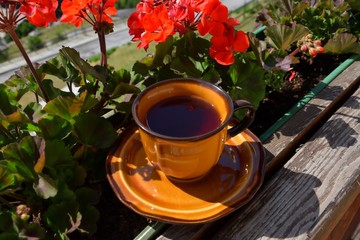 Tea cup on the between red geranium