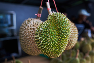 Organic Durian fruit for sell on street market. Fruit season. Fruits vendor selling durian. Durian is king of fruit is famous Asian fruit. Food background.  Selective focus.