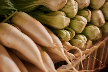 Vegetable. Fresh Chinese cabbage and radish  for sale at an asian market.