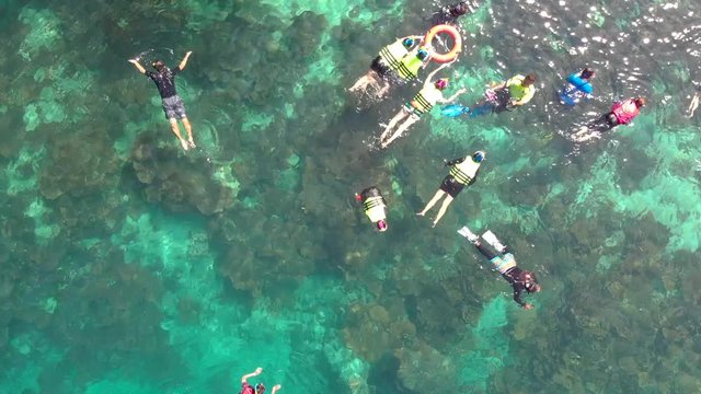 Aerial shot of people snorkeling over huge coral reef