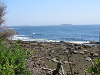 View of the ocean during low tide with seaweed on the rocky shore 