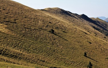 paysages du Vercors, depuis le Jocou