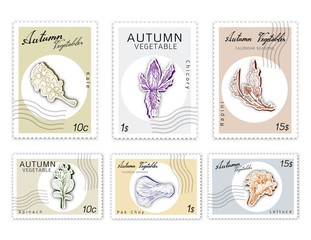 Autumn Vegetables, Post Stamps Set of Hand Drawn Sketch Chicory, Kale or Leaf Cabbage, Lettuce or Lactuca Sativa, Pak Choy, Rapini and Spinach in Trendy Origami Paper Art Carving Style. 
