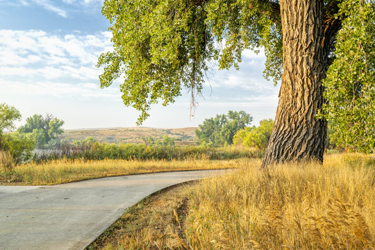 Summer On Poudre River Trail