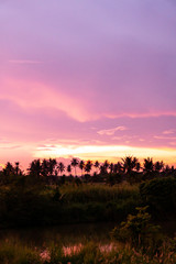 Sunset over Palm Trees