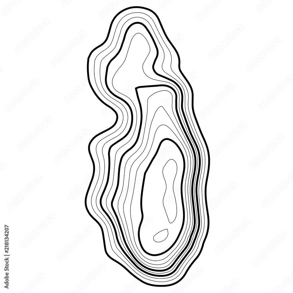 Poster topographic map background concept. topo contour map. geographic world topography map grid. line top