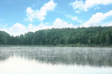 Obraz na płótnie Canvas Beautiful landscape with forest near lake. Camping season