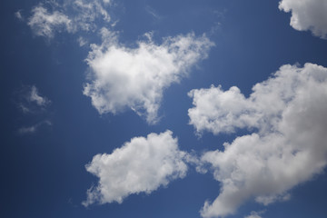 Fototapeta premium Blue Sky With Clouds