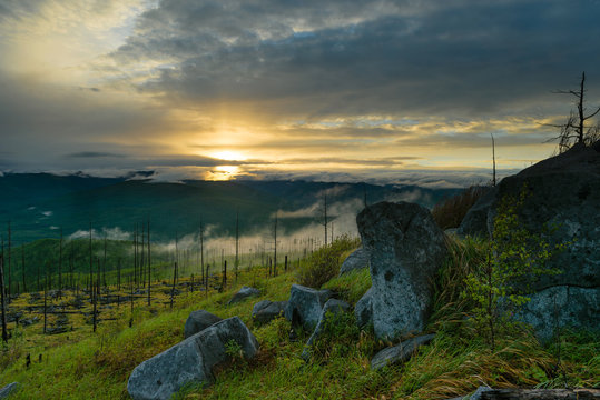 Tereza Orlovski nemis porno