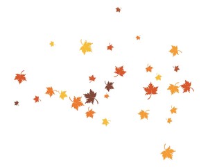 autumn Leaf background concept  template vector illustration