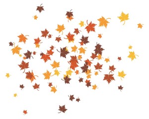 Fototapeta na wymiar autumn Leaf background concept template vector illustration