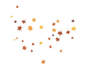 autumn Leaf background concept  template vector illustration