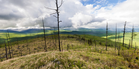 Obraz premium Mountains in the far east of Russia, Khabarovsk region. A mountain range near the city of Komsomolsk-on-Amur. Khabarovsk region, Amur, Russia, far East.