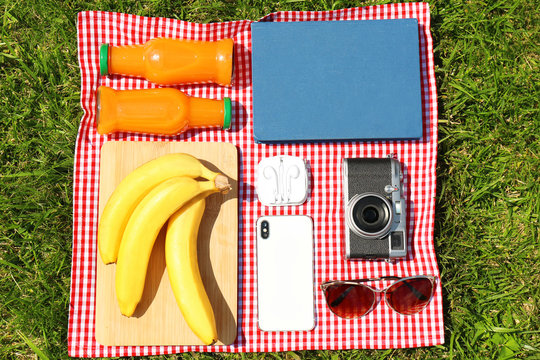 Flat lay composition with food, phone and camera on blanket in park. Summer picnic