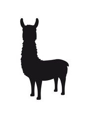 silhouette schwarz umriss lama kamel alpaka südamerika tier süß niedlich comic cartoon clipart