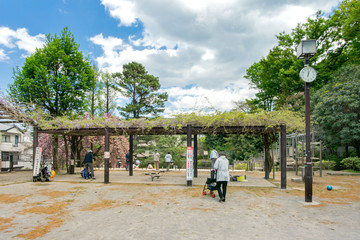 Fototapeta premium 目黒区立不動公園