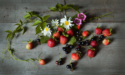 Still life with strrawberry, black currant, bells and chamomiles on wooden background