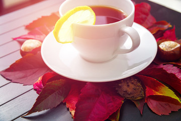 Fototapeta na wymiar Hot tea or coffee on autumnal leaves. A cup of tea with lemon for autumn cold weather. Autumn colors, autumn is coming. Red leaves and chestnuts.