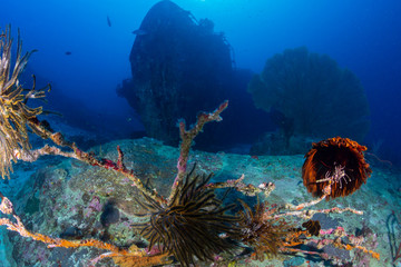 A large shipwreck on the seabed near a tropical coral reef