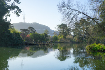 Fototapeta na wymiar Stow Lake spring view in morning