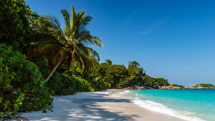 Naklejka na ściany i meble A beautiful, deserted, tropical sandy beach and lush green foliage