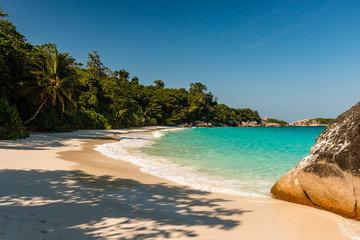 An idyllic, beautiful tropical island beach surrounded by lush green foliage (Similan Islands, Thailand)